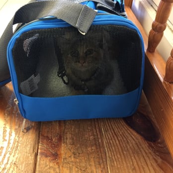 Coast Veterinary Hospital - Lol - Veterinarians Near Me - Gulfport, Mississippi