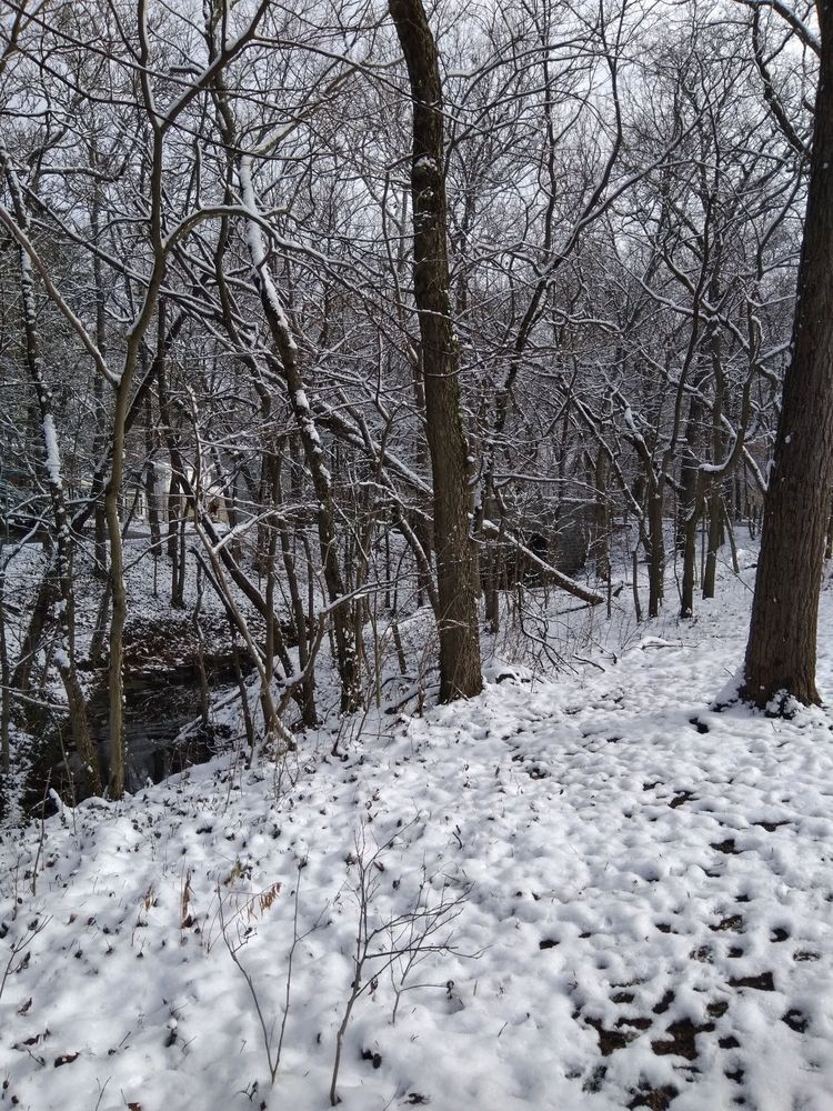 BEECHWOLD PARK Updated July 2024 31 W Beechwold Blvd, Columbus