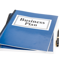 Business Plan Consulting - My great Business Plan for retail lease space landlord