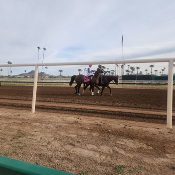 Turf Paradise - New in 2026 - Horse Racing Near Me - Phoenix, Arizona Turf Paradise - New in 2026 - Horse Racing Near Me - Phoenix, Arizona