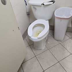 Urine from days. Broken and can't flush.
