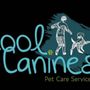 Photo of Cool Canines Pet Care Services