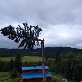 True North Tree Services - Tree Services Near Me True North Tree Services - Tree Services Near Me