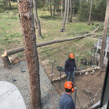 Whispering Pines Tree Service - Trees - Tree Services Near Me Whispering Pines Tree Service - Trees - Tree Services Near Me