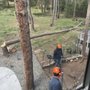 Photo of Whispering Pines Tree Service