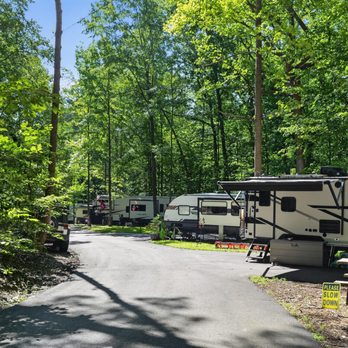 Prince William Forest Rv Campground - Back in and pull through full hook ups - Campgrounds Near Me - Dumfries, Virginia Prince William Forest Rv Campground - Back in and pull through full hook ups - Campgrounds Near Me - Dumfries, Virginia
