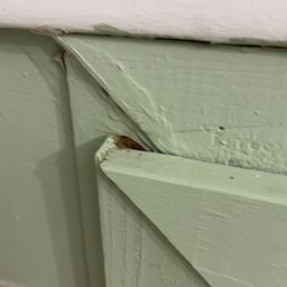 cockroach in the bathroom