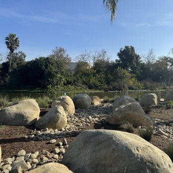 Polliwog Park - View of the lake from new playground area. - Parks Near Me - Manhattan Beach, California Polliwog Park - View of the lake from new playground area. - Parks Near Me - Manhattan Beach, California