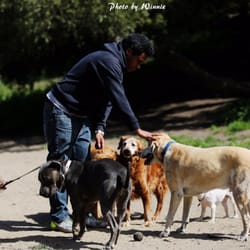 Alemany Blvd Dog Park