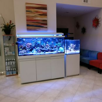 Newgen Dental - All the fishies! - General Dentistry Near Me - San Jose, California