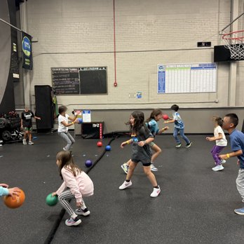Ultimate Ninjas North Shore - Good 'ol fashioned dodgeball is still in style. - Kids Activities Near Me - Glenview, Illinois