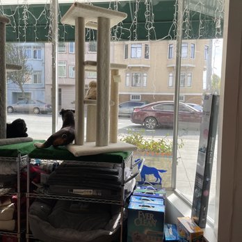 Cal's Pet Supply - Cat trees, litter, cozy dog beds, leashes and harnesses - Pet Stores Near Me - San Francisco, California