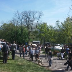 Finkenrech