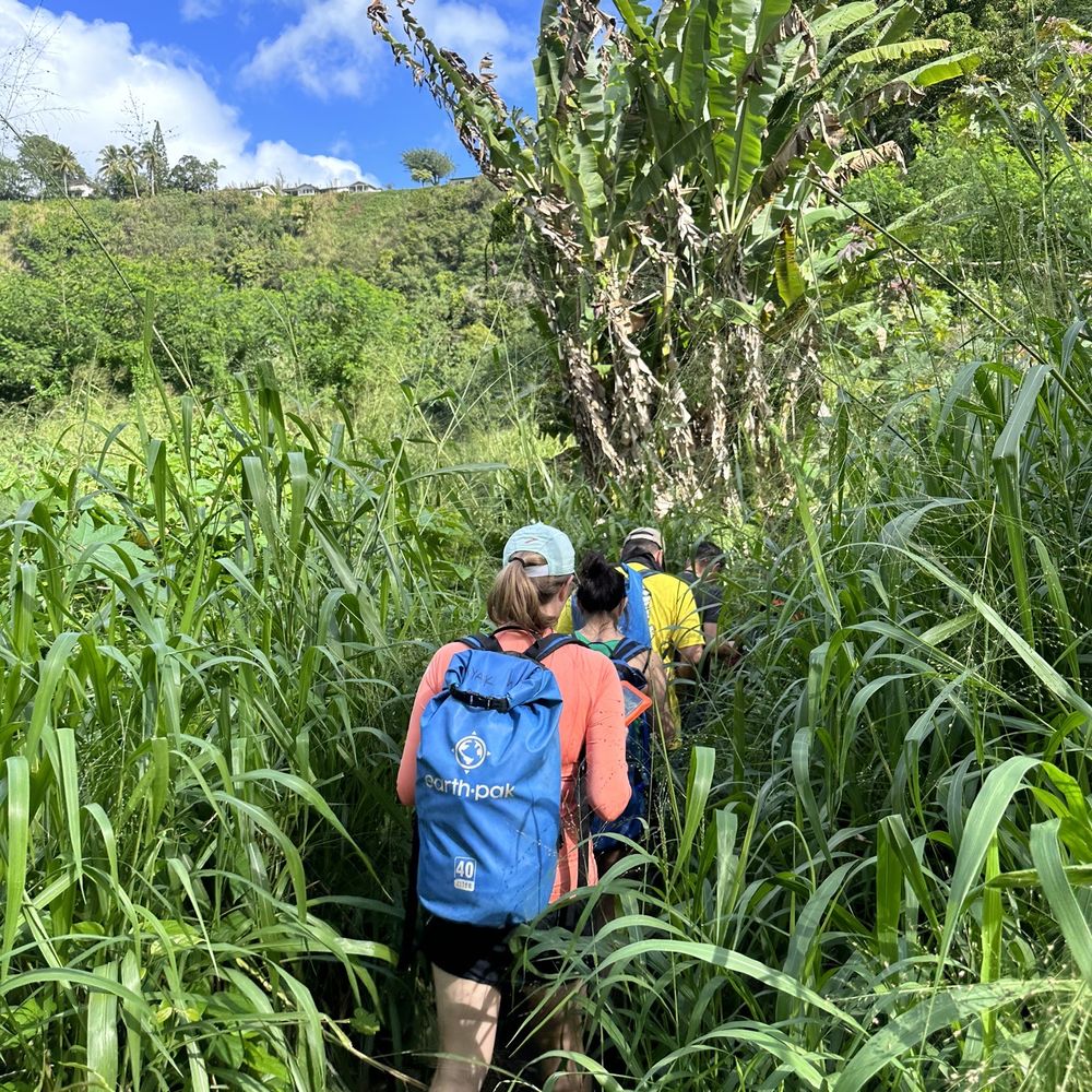 Wailua Kayak Adventures - Trail to get to the falls - Rafting/Kayaking Near Me - Kapaa, Hawaii Wailua Kayak Adventures - Trail to get to the falls - Rafting/Kayaking Near Me - Kapaa, Hawaii