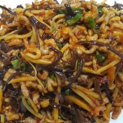 Yong's Hand Pulled Noodles and Chinese Cuisine - Sliced pork with fish sauce