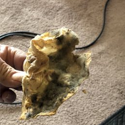 Moldy paper of some sort found in room vent