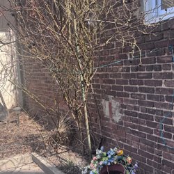 Unique Masonry - Old garden