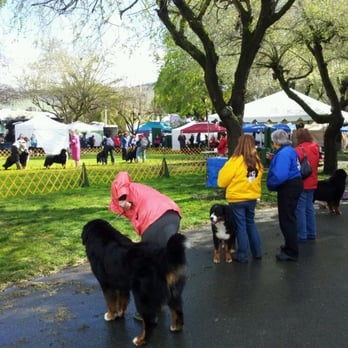 Solano County Fairgrounds - Dog show this weekend - Venues & Event Spaces Near Me - Vallejo, California