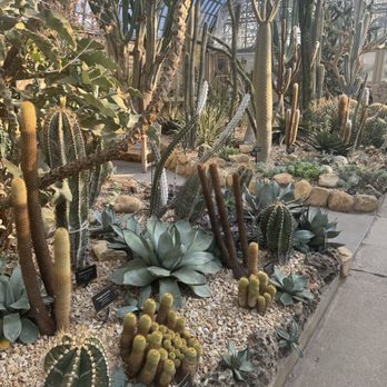 Garfield Park Conservatory - Parks Near Me - Chicago, Illinois Garfield Park Conservatory - Parks Near Me - Chicago, Illinois