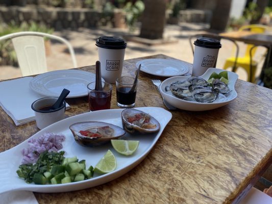 La Concheria by null