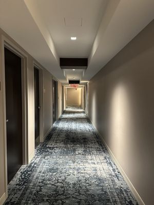 Renaissance Albany Hotel by null
