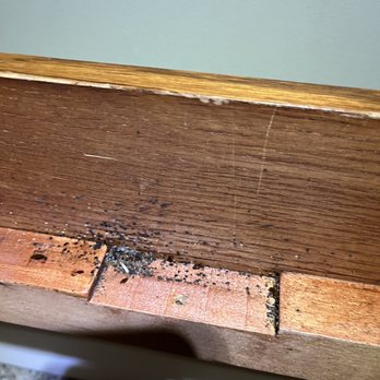 Saela Pest Control - Chicago - Pest Control Near Me - Bridgeview, Illinois Saela Pest Control - Chicago - Pest Control Near Me - Bridgeview, Illinois