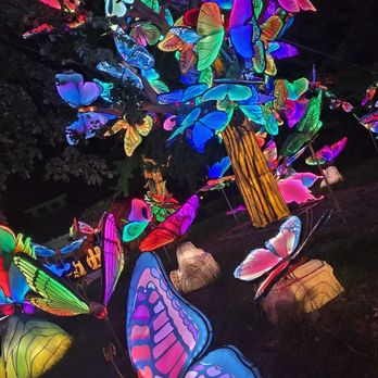 Saint Louis Zoo - Lantern display 2026 - Zoos Near Me - St Louis, Missouri