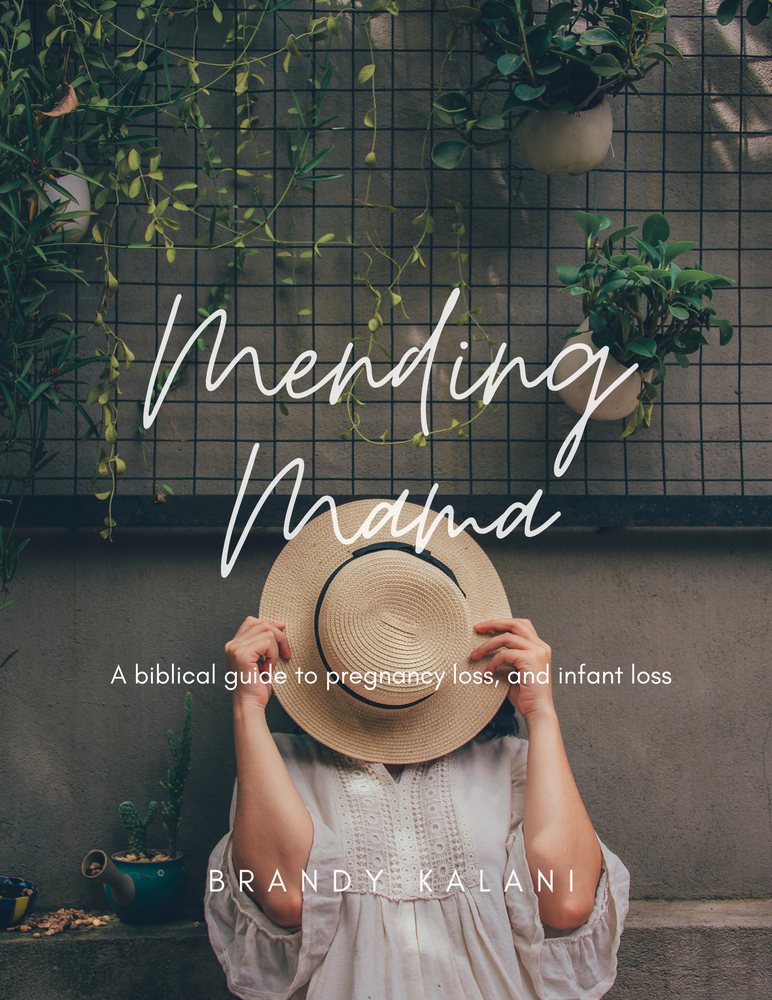 Mending Mama - social services organization in Clarksville, TN