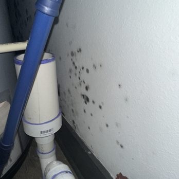Canvas Tempe - mold. - Apartments Near Me - Tempe, Arizona Canvas Tempe - mold. - Apartments Near Me - Tempe, Arizona