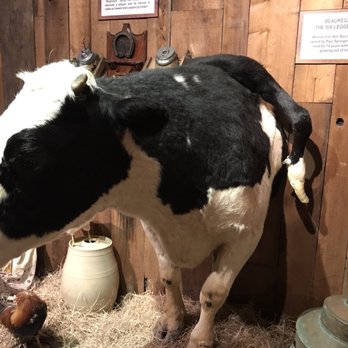 Ripley's Haunted Castle Tour - Museums Near Me - Saint Augustine, Florida Ripley's Haunted Castle Tour - Museums Near Me - Saint Augustine, Florida
