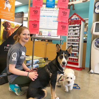 Petco - Thank you Parker for being so patient in training Lonzo!!! He, now, tolerates being pet by strangers! - Pet Stores Near Me - Studio City, California Petco - Thank you Parker for being so patient in training Lonzo!!! He, now, tolerates being pet by strangers! - Pet Stores Near Me - Studio City, California