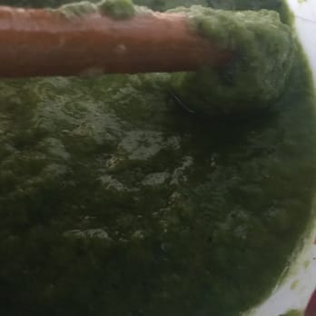 Jamba - "Freshly squeezed juice" was put through the blender and had the consistency of slushy sawdust. - Juice Bars & Smoothies Near Me - Hayward, California