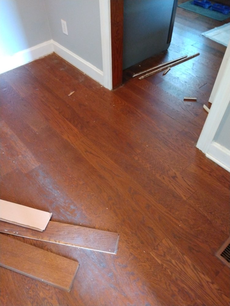 Slide of Carolina handyman and lawn care service