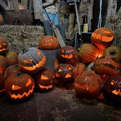 Blind Scream Haunted House