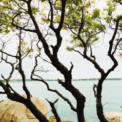 Halfmoon Beach - Love how trees are right next to the rocks.