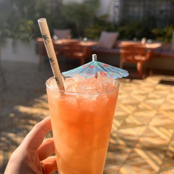 Little Palm - Little palm cocktail - Cocktail Bars Near Me - Charleston, South Carolina