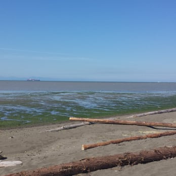 Iona Beach Park - Parks Near Me - Richmond, British Columbia