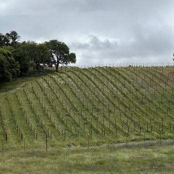 Caelesta Wines and Vineyard - Wine Tasting Room Near Me - Templeton, California Caelesta Wines and Vineyard - Wine Tasting Room Near Me - Templeton, California