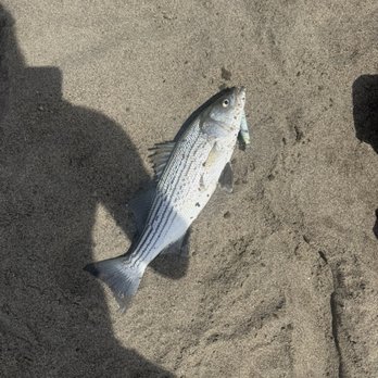 Hi's Tackle Box - Outdoor Gear Near Me - South San Francisco, California