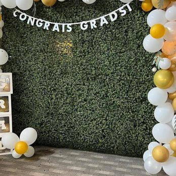 Aba Daba Party Rentals - boxwood backdrop - Party Equipment Rentals Near Me - West Sacramento, California Aba Daba Party Rentals - boxwood backdrop - Party Equipment Rentals Near Me - West Sacramento, California