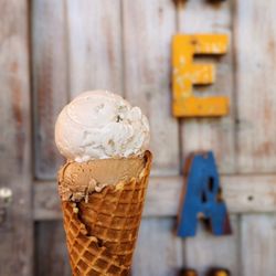Artisan Ice Cream - Coconut flakes and coffee, cream and sugar ice cream