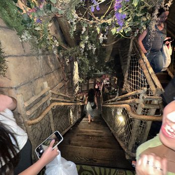 Rainforest Cafe - stairs - American Near Me - San Antonio, Texas Rainforest Cafe - stairs - American Near Me - San Antonio, Texas