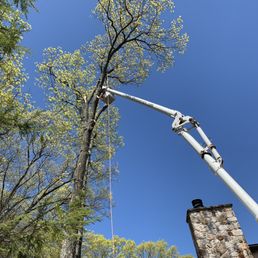 Dropping a 75 foot tree next to my house