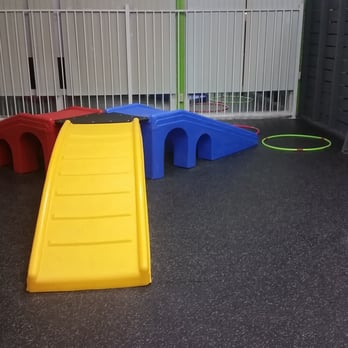 Learning Pawsibilities - Equipment they use to build your dog's confidence - Pet Training Near Me - Phoenix, Arizona