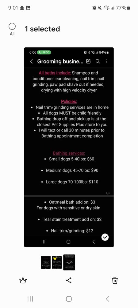 Hayley’s Pet Services - pet boarding facility in Lee's Summit, MO