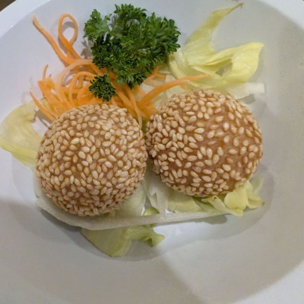 Oplante - Vegan Near Me - Montreal, Quebec Oplante - Vegan Near Me - Montreal, Quebec