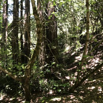 Joaquin Miller Park - Parks Near Me - Oakland, California