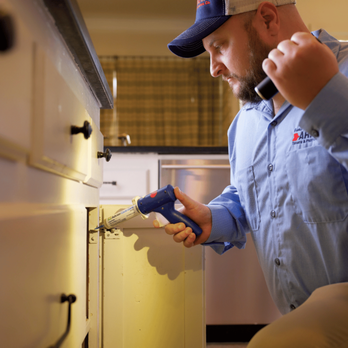 Arrow Termite & Pest Control - Pest Control Near Me - Slidell, Louisiana Arrow Termite & Pest Control - Pest Control Near Me - Slidell, Louisiana