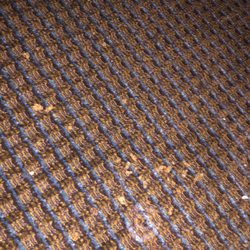 Staybridge Suites Rocklin - Roseville Area - Moldy food under chair