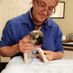 Sidney Animal Hospital - Dr. Nigel Bass